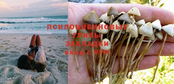 молекула духа Абинск