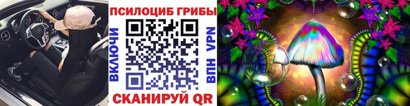 Псилоцибиновые грибы Magic Shrooms  ОМГ ОМГ ССЫЛКА  Кораблино  цена  